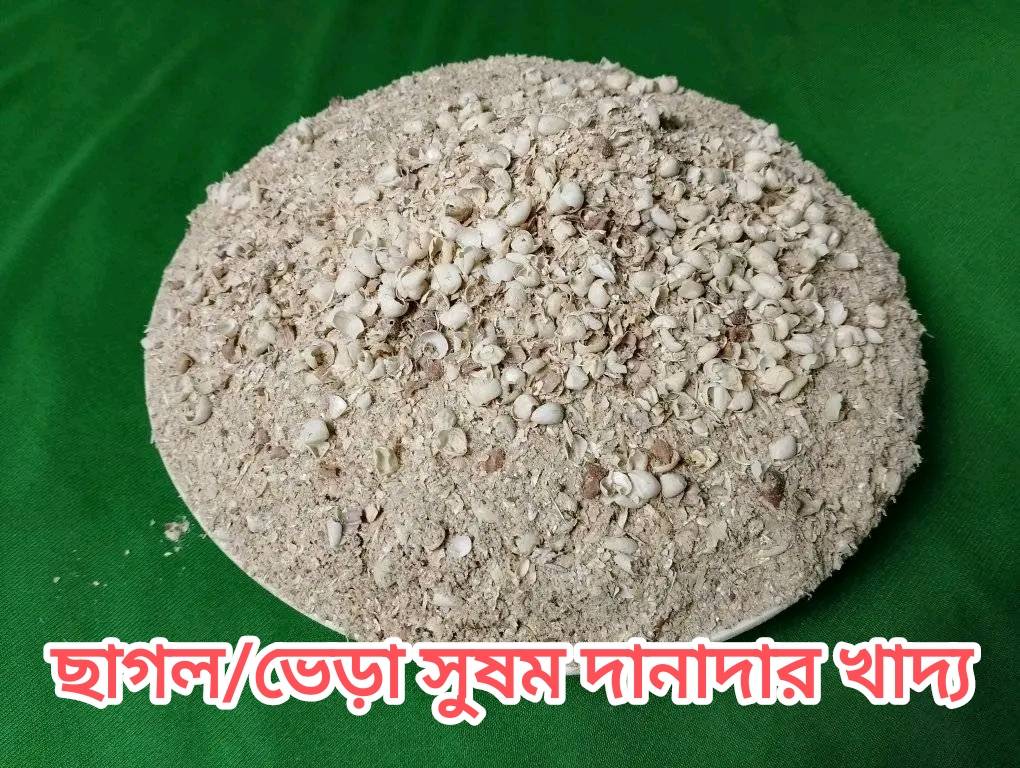 ছাগল,ভেড়া, দানাদার মিক্স খাবার 25 কেজি ছাগল,ভেড়া, দানাদার মিক্স খাবার 25 কেজি